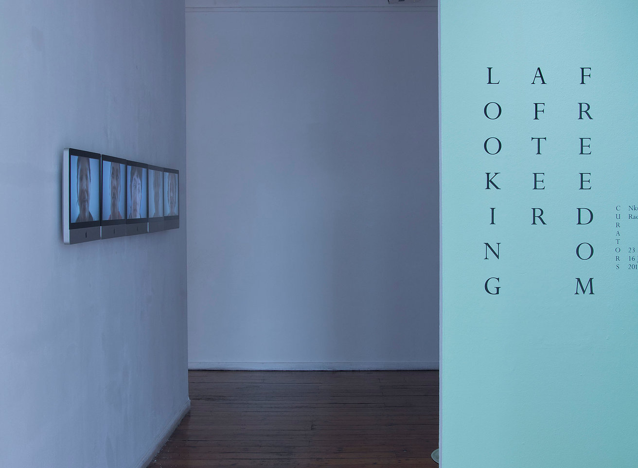 Looking After Freedom exhibition view, Michaelis Galleries, 2017