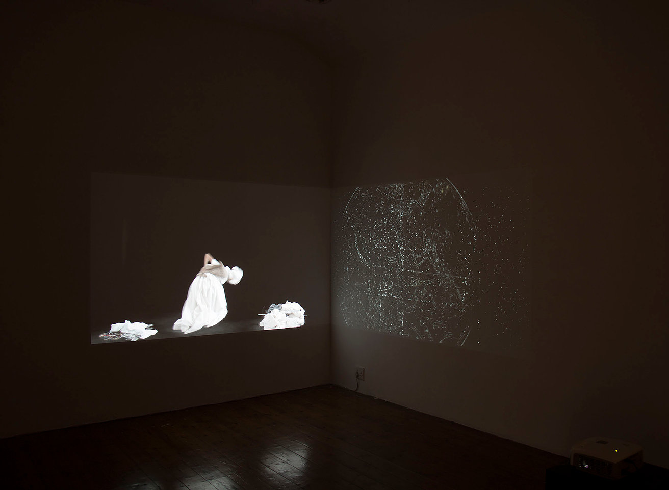 Kitso Lynn Lelliot artwork at Looking After Freedom, Michaelis Galleries, 2017